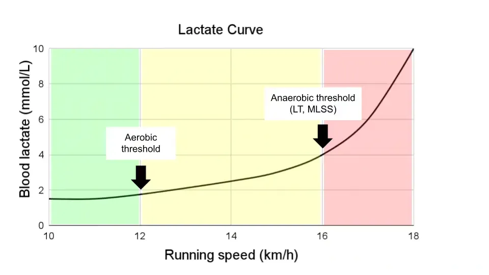 Lactate curve demonstrating the lactate threshold