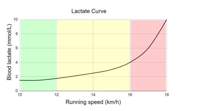 Running speed and blood lactate concentration