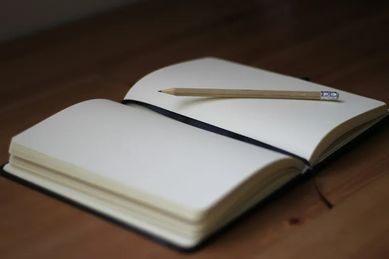 Notebook and pencil.